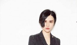 明星黑料大全,明星黑料大全深度剖析